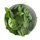 75g Pack Rocket & Baby Spinach